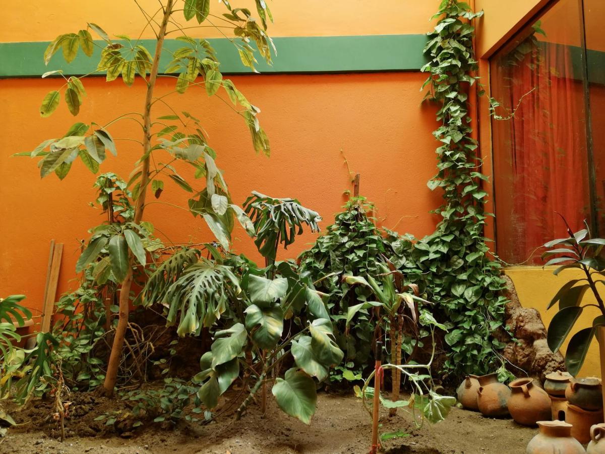 Olas Del Titicaca Backpackers Hostel Copacabana  Esterno foto